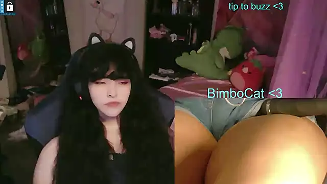 Show webcam de BimboCat