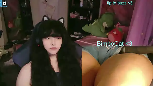 Show Webcam de BimboCat