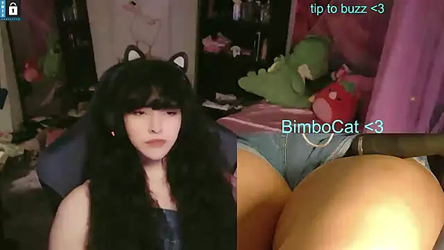 Show de webcam de BimboCat