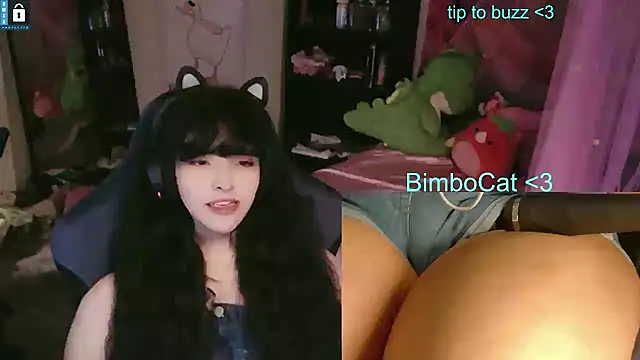 BimboCat Pertunjukan Webcam