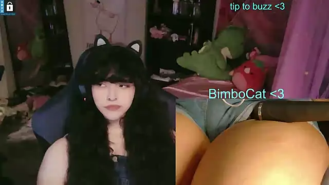 BimboCat Show in webcam
