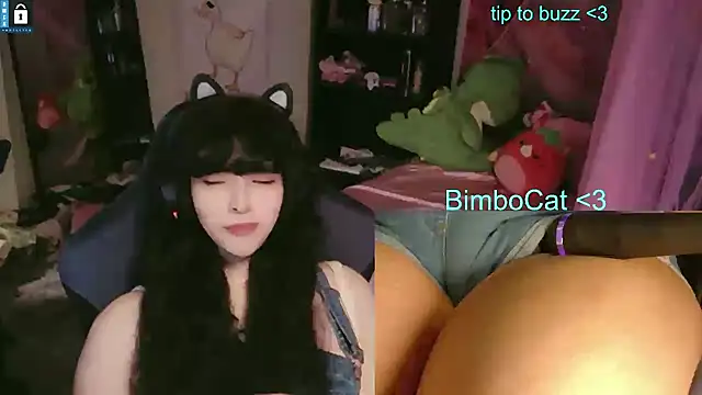 Pertunjukan Kamera Web BimboCat