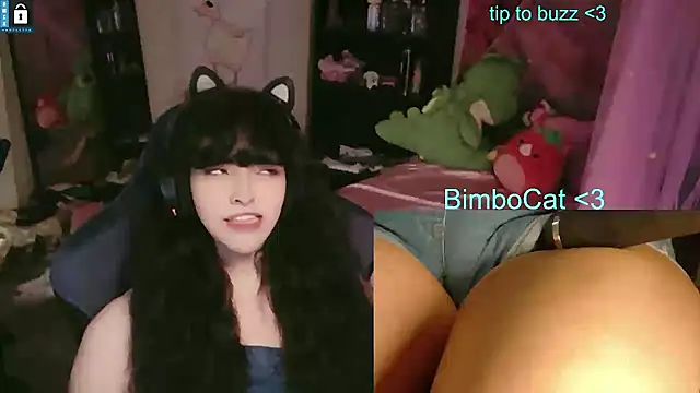 BimboCat Pertunjukan Webcam