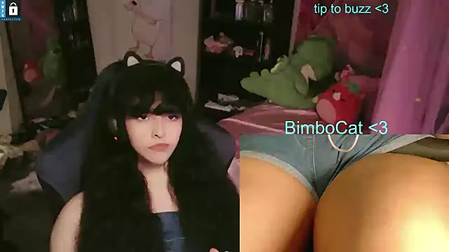 Show Webcam de BimboCat