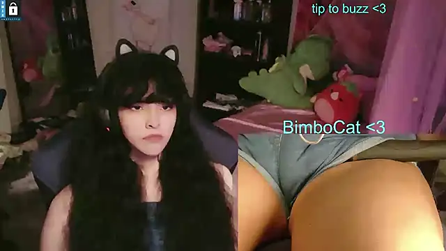 Show webcam de BimboCat