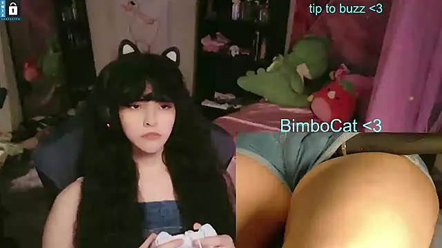 Вебкам-шоу BimboCat