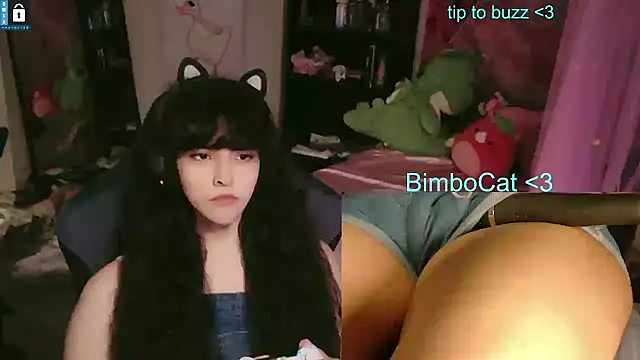 Show webcam de BimboCat