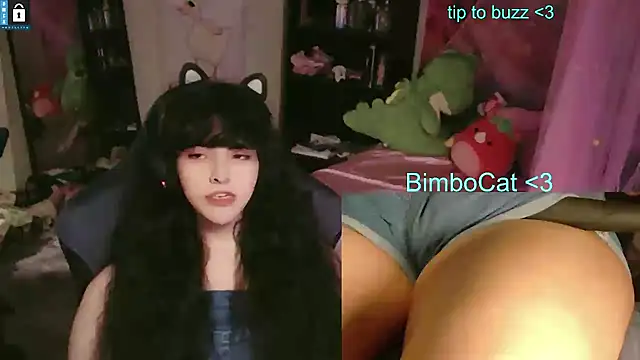 Show webcam de BimboCat