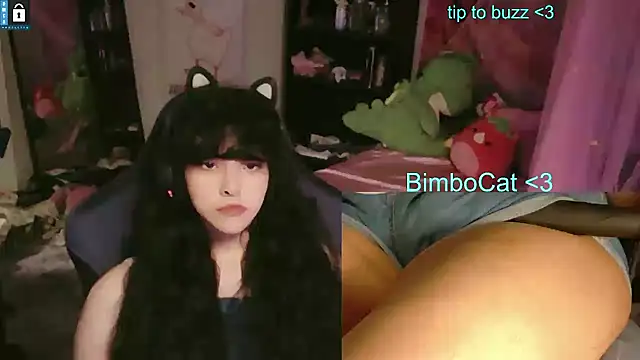BimboCat Show Webcam