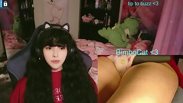 BimboCat Show in webcam