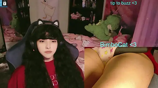 Show modela BimboCat na web-kameri