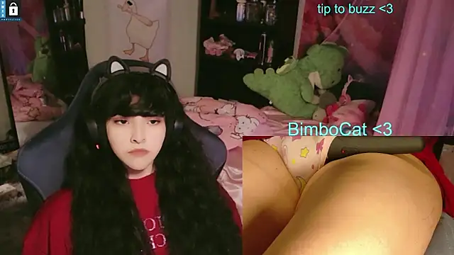 Show de webcam de BimboCat