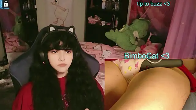 BimboCat webcam show
