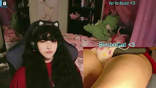 Show Webcam de BimboCat