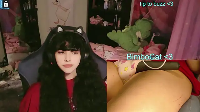 BimboCat Webcam Show