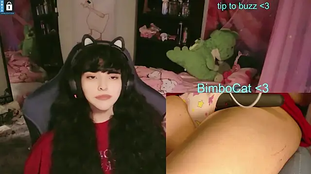 Show Webcam de BimboCat