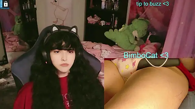 عرض كام BimboCat