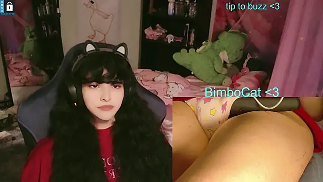 Pertunjukan Kamera Web BimboCat