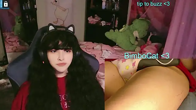 הופעת וובקאם של BimboCat