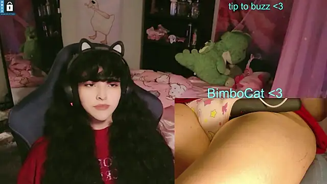 BimboCat's Webcam Show