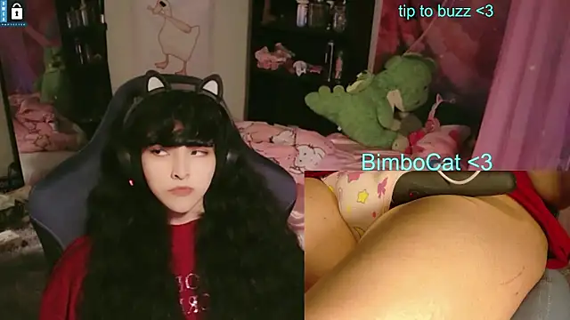 Show webcam de BimboCat