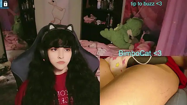 Show webcam de BimboCat