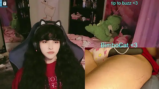 BimboCat webcam show