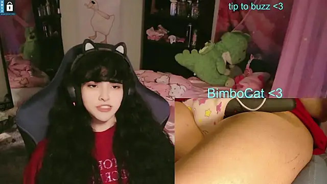 BimboCat Show in webcam