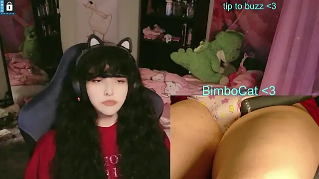 BimboCatn Webbikameraesitys