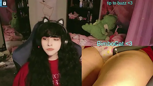 Show webcam de BimboCat