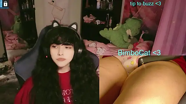 BimboCat's Webcam Show