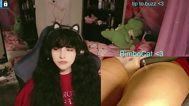 Show modela BimboCat na web-kameri