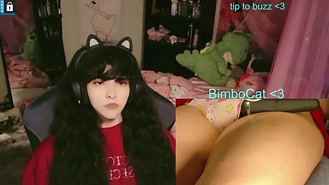 โชว์เว็บแคมของ BimboCat