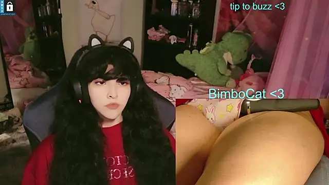 BimboCat's Webcam Show