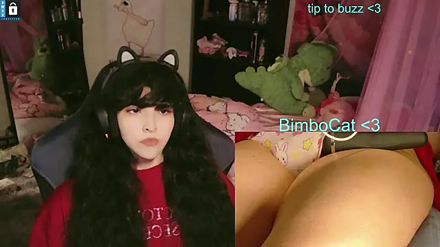 عرض كام BimboCat
