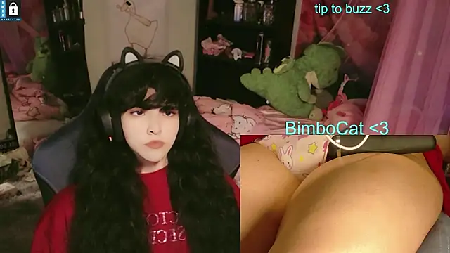 BimboCat Show Webcam
