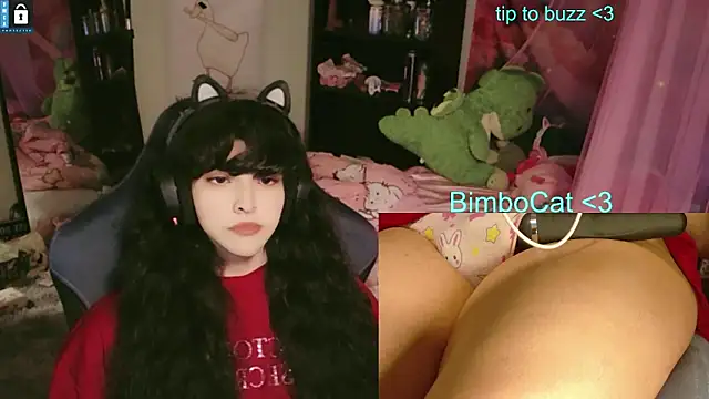 Pokazy przed kamerką – BimboCat