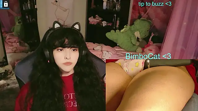 Show webcam de BimboCat