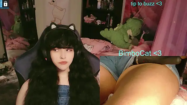 BimboCat: вебкам-шоу