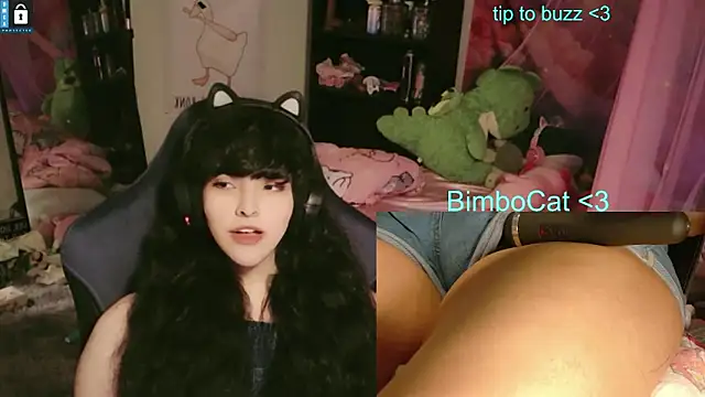 BimboCat Webcam show