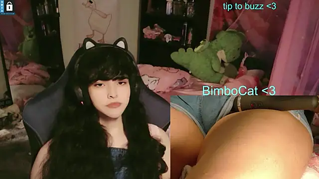 Show webcam de BimboCat