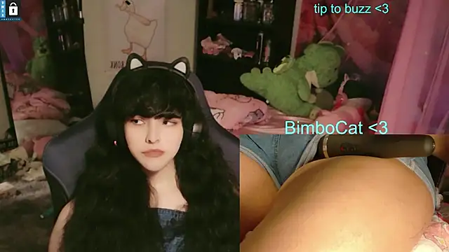 โชว์เว็บแคมของ BimboCat