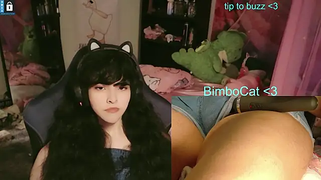 BimboCat Webcam Show