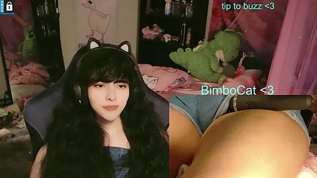 Show modela BimboCat na web-kameri