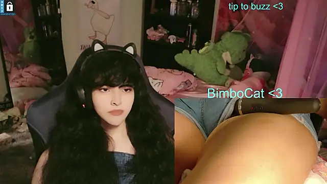 BimboCat Webcamshow