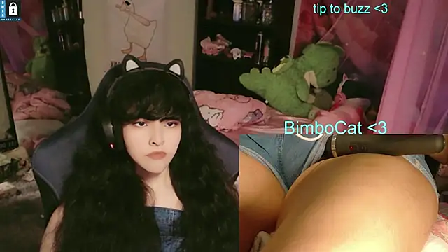 BimboCat: вебкам-шоу