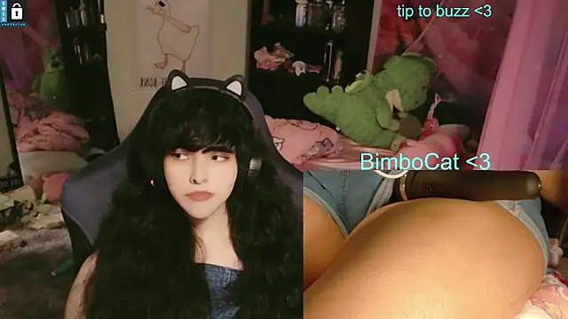 Pertunjukan Kamera Web BimboCat