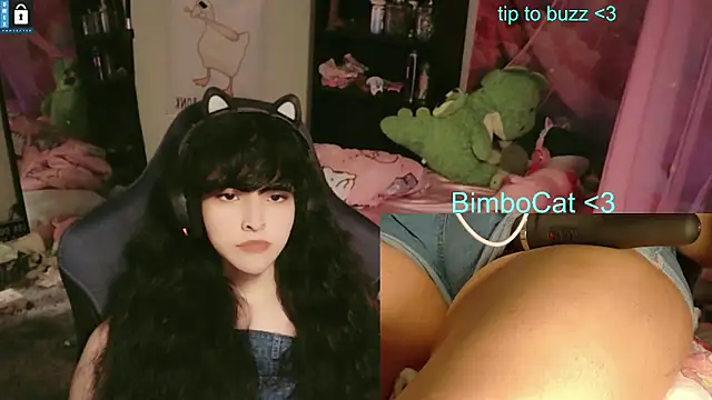 BimboCat: διαδικτυακό σόου στην κάμερα