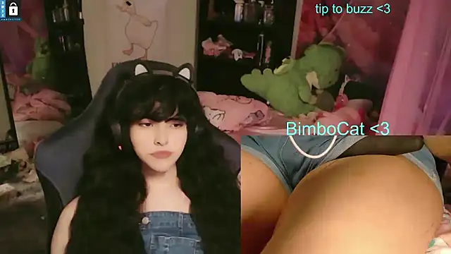 הופעת וובקאם של BimboCat