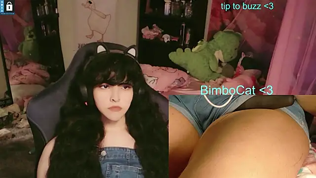 BimboCat webkamerás műsora